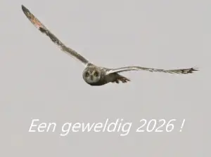 Menno 02